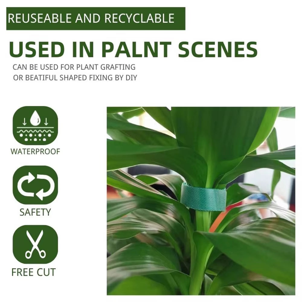 Plant Bandage Tie for Home Garden, Plant Shape Tape, Hook Loop, Bamboo Cane Wrap Support Accessories, 5M, 3Pcs